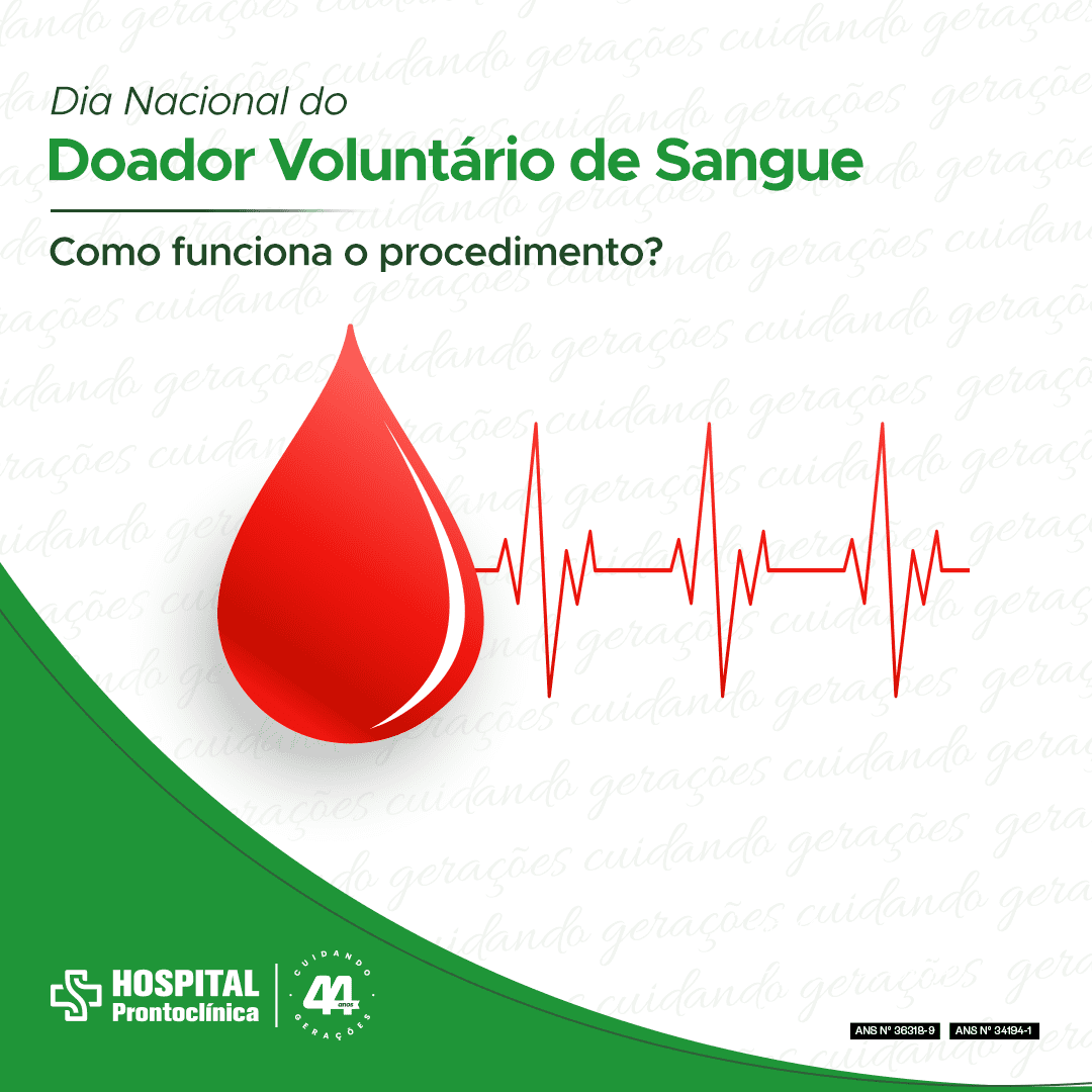 Dia Nacional do Doador Voluntário de Sangue. Como funciona o procedimento?